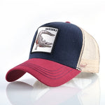Crocodile Cap