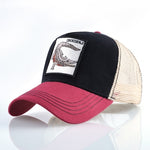 Crocodile Cap