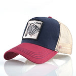 Zebra Cap